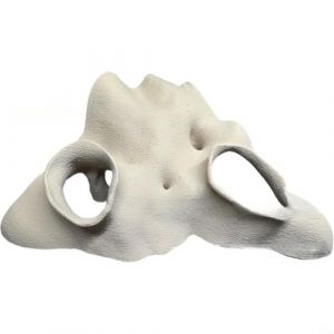 Cachette d'angle imitation racine de mangrove pour aquarium - Aspect naturel - Sans danger pour les reptiles, les crevettes - Matériau à base de plantes (Blanc-S) (LineFoforME, neuf)