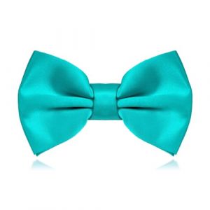 MAIANY NœUds Papillon Homme, Avec Gancio RéGlable, NœUd Papillon Classique Pré- Noué Pour Costume, IdéAl Pour Les Mariages Pour Hommes, NœUd Papillon Pour Dames (Turquoise) (MAIANY, neuf)