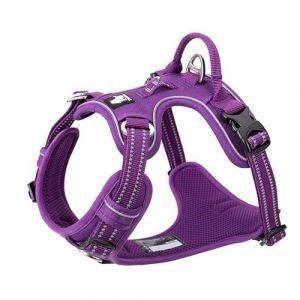 Harnais pour Chien No Pull Nylon Souple Réfléchissant Réglable pour Petit Grand Animal Domestique TLH56512(L, Violet) (Truelove Pet Garment and Shoes Co.Ltd., neuf)