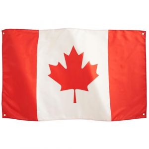 Runesol Drapeau national du Canada 7,6 x 12,7 cm, 91,4 x 152,4 cm, banni&egrave;re en feuille d'&eacute;rable, 4 &oelig;illets, &oelig;illets en laiton dans chaque coin, f&ecirc;te du Canada, c&eacute;l&eacute;brez les drapeaux canadiens de (Buydefinition, neuf)