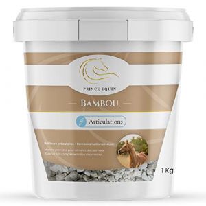 PRINCE EQUIN - BAMBOU - Complément nutritionnel Cheval - Seau 1 kg - Santé des articulations - Reminéralisation osseuse - Marque Française (Prince Equin, neuf)