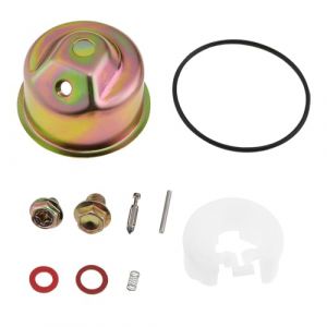 The Lord of the Tools Set de 10pcs Kit de Carburateur Moteur Remplacement pour Nettoyeur Haute Pression de Souffleuse à Neige Compatible avec Honda GX120 GX160 GX200 (The Lord of the Tools, neuf)