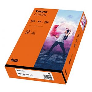 inapa Tecno Colors Lot de 250 feuilles de papier color&eacute; 120 g/m&sup2; Format A4 (versando&reg;, neuf)
