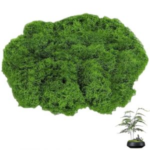 JAWUZ 100g fausse herbe Artificielle séchée Mousse,Plantes Vertes Simulées Artificielle de Mousse Verte Lichen pour Décoration Mousse Artificielle pour La Maison Jardin Patio Jardins（Vert foncé） (STAR DUANYUYU, neuf)