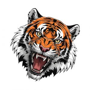 Uoqpty Autocollants De D&eacute;calcomanie De Voiture,Autocollant D&eacute;coratif De Voiture,Autocollants imperm&eacute;ables de moto de t&ecirc;te de tigre autocollant de pare-chocs de voiture | Autocollant Auto-adh&eacute;sif (yusitaz, neuf)