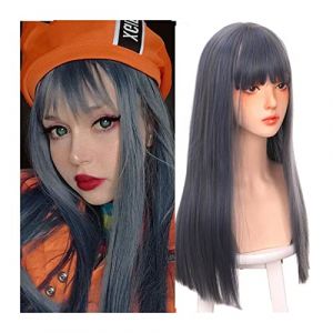 Perruque Naturel Perruque synthétique longue et droite avec frange, perruque droite bleu mélangé gris foncé for femmes filles, perruque de cosplay de fête quotidienne à l'aspect naturel Perruque Coupe (zengfanjunuk, neuf)