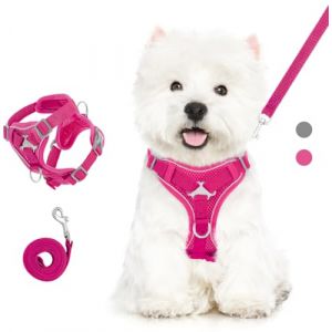 VavoPaw Ensemble Harnais et Laisse pour Chat Anti-évasion, Harnais Ajustable pour Chaton avec Bande Réfléchissante, Filet Respirant, Gilet de Sécurité Souple pour Chat, Chaton, Chiot, XL, Magenta (SiuMed EU, neuf)