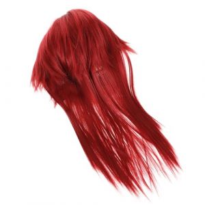 VICASKY Perruque Mulet Longue Homme Cosplay Fête Costume Anime Décoration Perruque Mulet (Micanties, neuf)