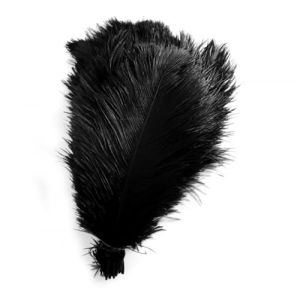 Lot de 10 plumes d'autruche multicolores 15-20 cm Plume naturelle pour bricolage D&eacute;coration DIY Plumes d'autruche pour maison, mariage, f&ecirc;te, table, table &agrave; manger, carnaval, attrape-r&ecirc;ves D&eacute;coration (Wancong, neuf)