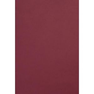 Netuno 20x carton de couleur bordeaux A4 210 x 297mm 300g Malmero Palissandre papier cartonné couleur carton de bricolage carton pour invitations travaux manuels carton imprimante scrapbooking (netuno, neuf)