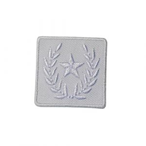 Patch Ecusson Thermocollant Etoile Lauriers Coloris Blanc 3 x 3 cm (Filou Face, neuf)