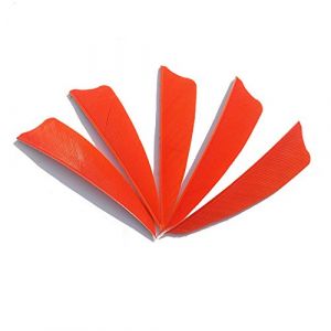 SHARROW 50pcs Tir &agrave; l'arc Plumes de Fl&egrave;che 3" Plumes Naturelles Fletching Empennage de Fl&egrave;che Plumes pour Fl&egrave;ches en Bois et Fl&egrave;ches de Carbone (Orange) (AME Archery Shop, neuf)
