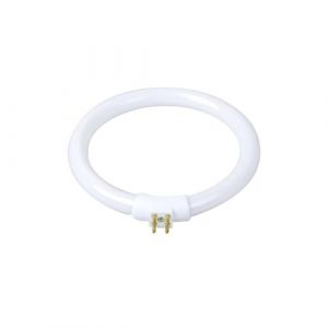 PFHSKLCWY Ampoule Tubes annulaires T4 Anti-quatre broches 11W 110V et 220V, loupe G10q, petites lampes de bureau, ampoule fluorescente, lampe annulaire blanche &Eacute;clairage(11W) (inghonqing, neuf)