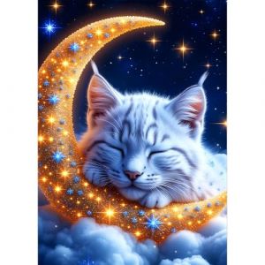 QQYRHN 5D DIY Chat Endormi Kits de Peinture Diamant, Compl&egrave;te Ciel &eacute;toil&eacute; Lune Diamond Painting pour Adulte D&eacute;butants, Fantaisie Art du Diamant, D&eacute;cor Murale Maison Peinture au Diamant Avec 30x40 cm (QQYRHN, neuf)