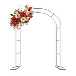 G&eacute;n&eacute;rique Pergola Jardin Fer forg&eacute; Tonnelle Arche de Jardin Exterieur, pour Plantes Grimpantes, D&eacute;coration Arche de Mariage, 80cm 140cm 180cm 200cm 240cm 280cm 300cm 350cm(Blanc,W200 X H230cm) (qiushanmaoyiyouxiangongsi, neuf)