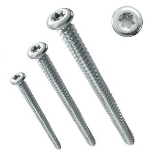 PARCO Vis &agrave; t&ecirc;te ronde pour cadre de fen&ecirc;tre 7,5 x 42 mm | T&ecirc;te panoramique | pour la construction de fen&ecirc;tres | TX30 Lot de 100 pi&egrave;ces (Primo-Befestigungstechnik, neuf)