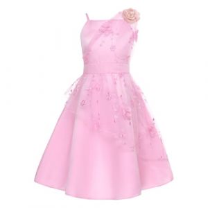 ranrann Robe de Cérémonie Fille Enfant Mousseline Robe Mariage Demoiselle d'honneur Princesse Soirée Elégante Fête Anniversaire B Rose 12 Ans (ranraneu, neuf)
