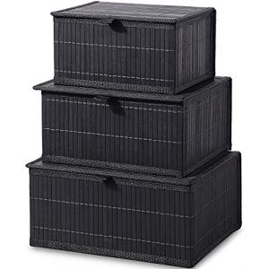 Honygebia Panier Rangement avec Couvercle - Noire Boite Decorative Bambou pour Organiser, Lot de 3 Panier Osier et Doublure en Tissu Tiss&eacute; pour la Maison, Cuisine, Salle de Bain (Grand/Moyen/Petit) (Honygebia, neuf)