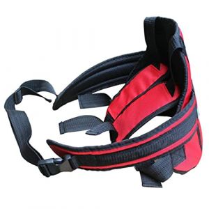 Ceinture De S&eacute;curit&eacute; Pour Moto Pour Enfants Harnais De Moto Pour Enfant Harnais De S&eacute;curit&eacute; Pour Moto Pour Enfants Ceinture De S&eacute;curit&eacute; Arri&egrave;re Pour Conducteur Sangles De Si&egrave;ge Anti-chute Pour Enfants (SANGDINZasd, neuf)