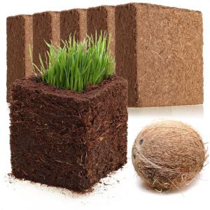 COM-FOUR® 5X Terre de Culture de Noix de Coco - tranches de Noix de Coco gonflées biodégradables - briquettes gonflées sans Tourbe à Base de Fibre de Coco pressée - pour 5 litres de terreau (COM-FOUR  Vertriebs GmbH, neuf)