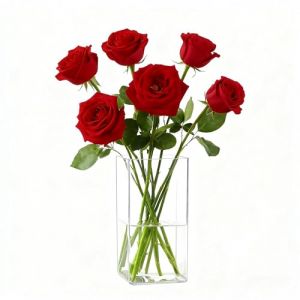 Koelaa Vase &agrave; Fleurs en Acrylique Transparent, Vase Carr&eacute; en Plastique Incassable - Vases Moderne pour Fleurs, D&eacute;corations de Table Moderne, Centres de Table - Cadeau Femme/Anniversaire - 10 x 20cm (SiLaiSheng, neuf)