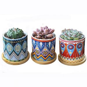 Hosmore Pots pour succulentes, Pot de Jardinage avec Drainage et Plateau en Bambou Petits Pots pour Plantes Cactus Mini Fleurs Pots avec Soucoupe Pots de Jardin, Lot de 3 (Mandala) (Hosmore, neuf)