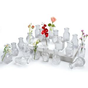 Aevcvok Petit Vase en Verre,Lot de 20 Vases en Verre Vintage Mini Vase Deko Set Différentes Décorations de Mariage Transparent Tailles Vasen de Fleurs (Avokuya, neuf)