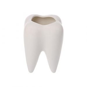 Petits pots en céramique pour plantes grasses – 7,6 cm en forme de dents pour intérieur et extérieur pour plantes grasses et herbes, parfaits comme pot de fleurs, support de brosse à dents (Ceonam, neuf)