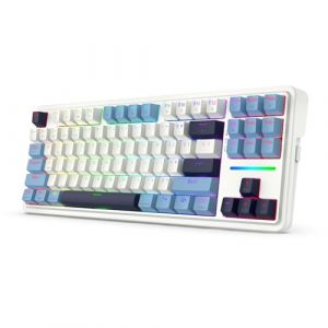Redragon K728 Pro Clavier de Jeu sans Fil Gasket RGB 80%, 3 Modes 87 Touches, Clavier mécanique TKL avec Socle échangeable à Chaud, Touches de Couleurs mélangées et atténuation du Bruit, US Layout (Radioddity France, neuf)