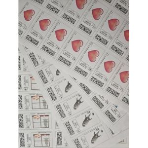 Planche de 24 timbres 20g - Timbre Poste Autocollant Neuf – Carnet Lettre verte - Validité permanente - Etiquette autocollante France - Pour colis, enveloppe bulle (Amrazone, neuf)
