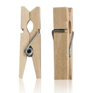 Dreamil Lot de 100 pinces à linge en bois de 25 mm pour appareil photo, mini clips décoratifs, porte-photos, cartes postales, lettres, bricolage, séchoir à linge (ZHANG ZHF, neuf)