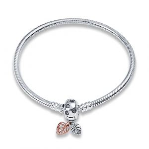 CQWVB Bracelet en Argent 925 Pour Femme for charms, Bracelet serpentine Compatible avec Pandora Charms (Weinina Store, neuf)
