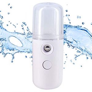 QPOLLY Mini Nano Pulv&eacute;risateur Facial, 30ML Vapeur Visage Vaporisateur, Vaporisateur Portable Pulv&eacute;risateur &agrave; Brume pour Beaut&eacute; Visage Humidificateur Soins de Peau Eau SPA Hydratant, 1PCS Blanc (Qpolly, neuf)