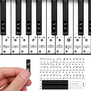 URAQT Autocollants de Clavier de Piano, 88 Touches Amovibles Transparent, Accessoires de Piano pour Claviers 88/61/54/49/37, Idéal pour Enfants et Débutants (Noir) (Kitchensupplier, neuf)