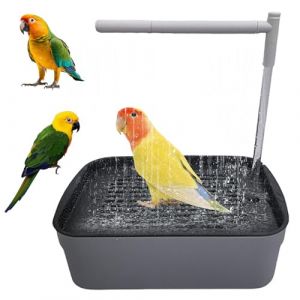 BIZOI Baignoire &agrave; Circulation d'eau pour Perroquet, Baignoire Automatique pour Oiseaux avec Douche d'eau Circulante Douche, Automatique Perroquet Douche pour Oiseaux, Perruche, Cacato&egrave;s (luoheshihuifengxinxikejiyouxiangongsi, neuf)