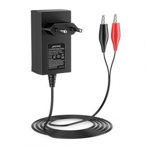 NASTIMA Chargeur 7,3V 1000mA LiFePO4 pour Batterie LiFePO4 6V 4Ah/4,5Ah/6 Ah/7Ah/12Ah, Protection Contre Les Courts-Circuits, Les Surintensit&eacute;s et Les Surtensions, avec Voyant Lumineux de Charge (JXK-EU, neuf)