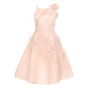 ranrann Robe de Cérémonie Fille Enfant Mousseline Robe Mariage Demoiselle d'honneur Princesse Soirée Elégante Fête Anniversaire B Abricot 12 Ans (ranraneu, neuf)