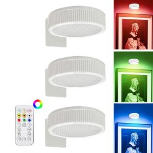 G&eacute;n&eacute;rique &Eacute;clairage de Tableau Sans Fil - Applique LED avec T&eacute;l&eacute;commande | Lampe Murale Magn&eacute;tique &agrave; Piles | Lot de 3, Spot Dimmable pour Cadres & &OElig;uvres d'Art, Installation Sans Per&ccedil;age (lutufane, neuf)