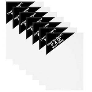 Belle Vous Petite Toile Peinture - Lot 7 Toiles &agrave; Peindre 20x30cm Pr&eacute;&eacute;tir&eacute;e - Toile a Peindre pour Tableau Peinture sur Toile &agrave; l'Huile Acrylique Dessin - Canvas Toile Blanche (Tinyyo Europe, neuf)