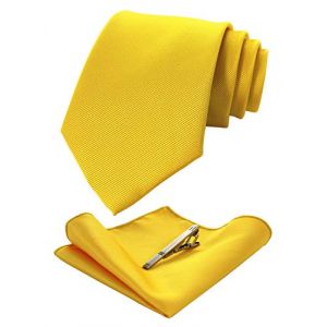 JEMYGINS Cravate Homme Jaune vif en Soie Multicolores et Pinces &agrave; cravate et Carre de poche Emsemble (JEMYGINS Tie Official Store, neuf)