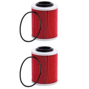 AHL 2 pièces Moto Filtre à huile 420956123 Compatible avec Can-Am Maverick X3 4x4 DS Turbo DPS 2021-2024/Can-Am Maverick X3 4x4 RS Turbo DPS 2024/Can-Am Maverick X3 4x4 Turbo DPS 2017-2021 (AHL-Motor, neuf)