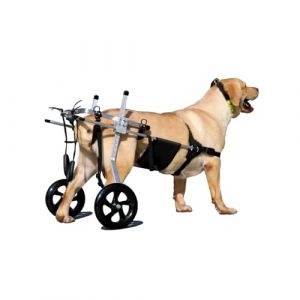 2 Roues Fauteuil Roulant Chien Chariot Pour Animaux Handicapés Physiques Chariot De Chien Scooter Pour Animaux Roulant Handicapé Chien Réhabilitation Jambes Animaux Handicapés(Size:XL（20-30kg）) (XIYAOD, neuf)