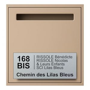 Plaque boite aux lettres personnalisable - 24 x 10 cm - 5 lignes - Numero de maison exterieur - Etiquette boite aux lettres - Nom - Famille - Entreprise - Plaques d'adresses (Argent) (France-gravures, neuf)