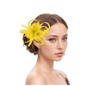 Chapeau bibi vintage pour femme - Voile de mariée - Accessoire de cheveux - Plume - Voile - Banquet - Chapeau en maille - Barrettes à cheveux élégantes - Pour carnaval, cocktail, thé (Woybda, neuf)