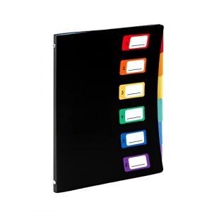 Viquel Rainbow Class Trieur Reliure 6 positions (VIQUEL, neuf)