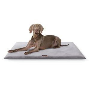 Knuffelwuff Sunport Tapis Douillet pour Chien, en Fourrure synthétique Douce, 120 x 80 cm, Coussin pour Chiens de Grande, Moyenne et Petite Taille, pour la Maison, la Voiture, Le Camping-Car, la (Knuffelwuff, neuf)