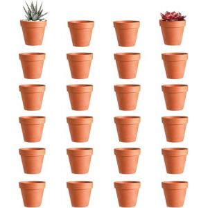 Ruikcoll Pots de Fleurs en Argile, Pots de Plantes en Argile, Pot en Terre Cuite, Mini Pot de Fleur en Terre Cuite avec Trou de Drainage, Pot de Plante r&eacute;utilisable, 24 pi&egrave;ces (3,5 &times; 3 cm) (Ruikcoll-EU, neuf)
