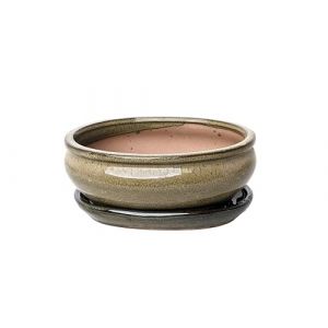 Generic Pots &agrave; bonsa&iuml; en c&eacute;ramique &eacute;maill&eacute;e avec plateaux d'&eacute;gouttement assortis (vert olive, 18 cm) (Richmond Bonsai, neuf)