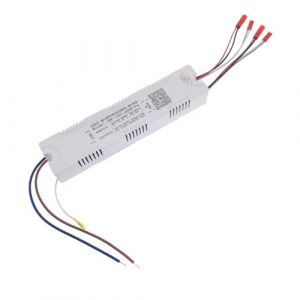 AC220V 2.4G Intelligent LED Driver RF Remote Control 12-40W 36-50W 40-60W 50-72W X2 X4 X6 X8 240mA Dimming Lighting Transformer(2Pin-40-60Wx4,With Remote) (xiaodengXfhcuA, neuf)