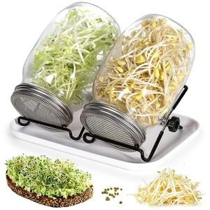 Cinnani Bocal de Germination, 2 x 1000ml Germoir en Verre Bocal à Germes avec 2 Couvercle à Grille en Acier Inoxydable, 2 Support, 1 Plateau, kit de Bocal à Germes pour Brocoli Luzerne Haricots Verts (Ambrater, neuf)